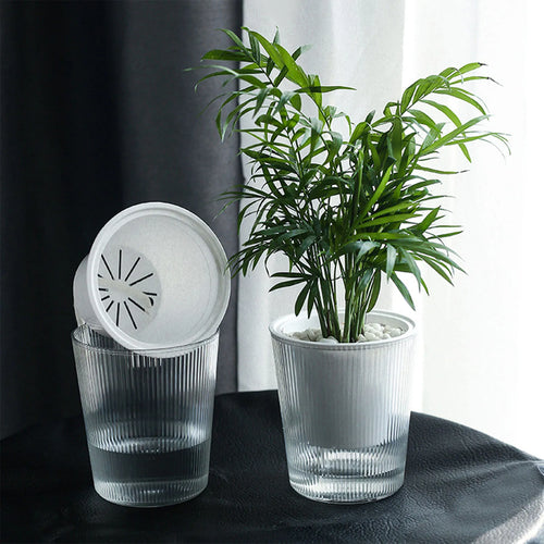 Clear Self-Watering Planter Pot for Indoor Plants